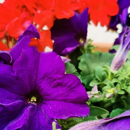 Mouraria Soul T3 - 6pax Apartman *